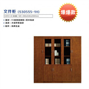 单位办公文件柜5门