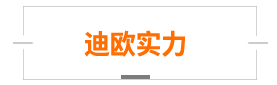 迪欧实力