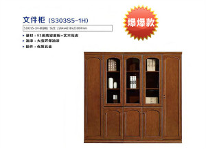 政府办公家具文件柜4