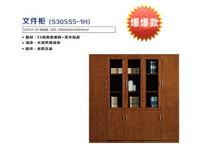 单位办公文件柜5门